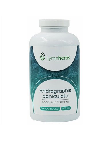 Andrographis paniculata 500 мг, 500 капсул
